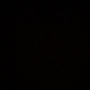 Meet your Posher, Raven